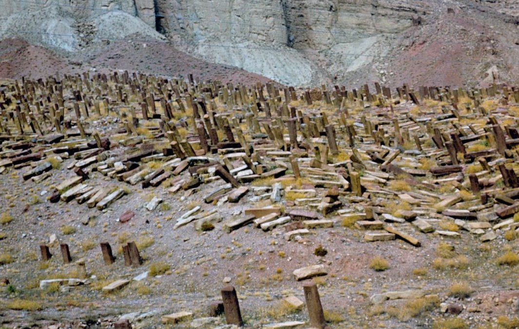 New World Heritage sites