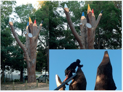 Pencil Tree in Marais Street, Stellenbosch